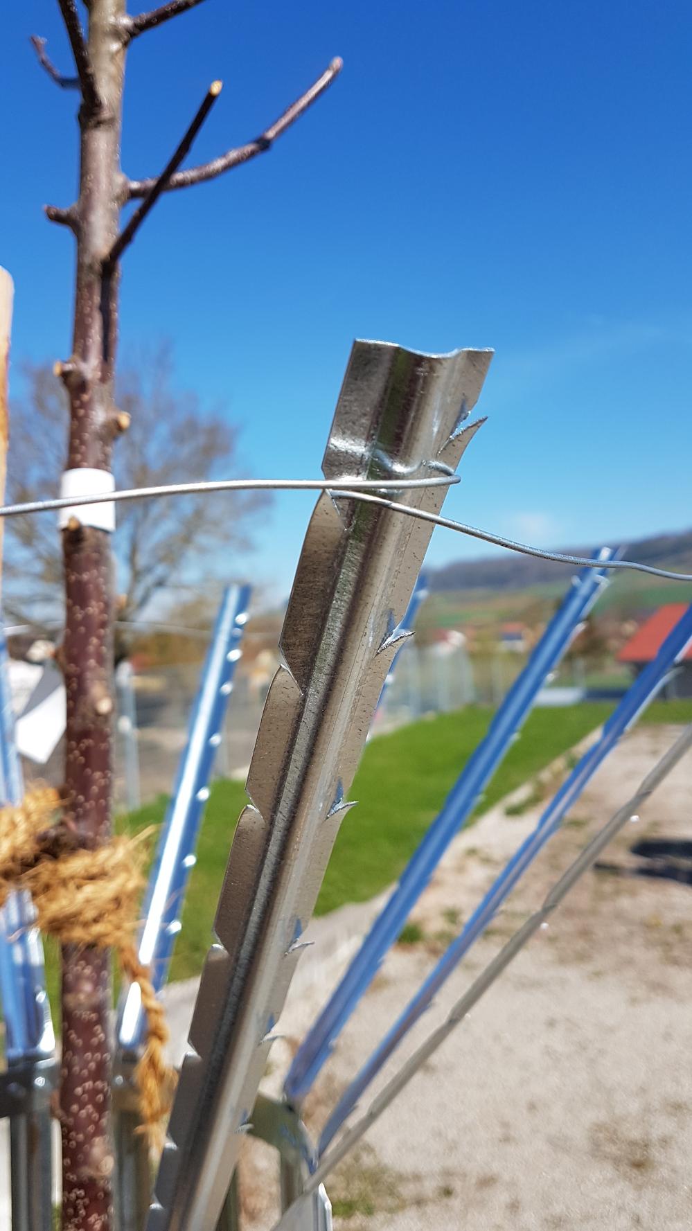 Werkzeuge zum Schutz von Bäumen