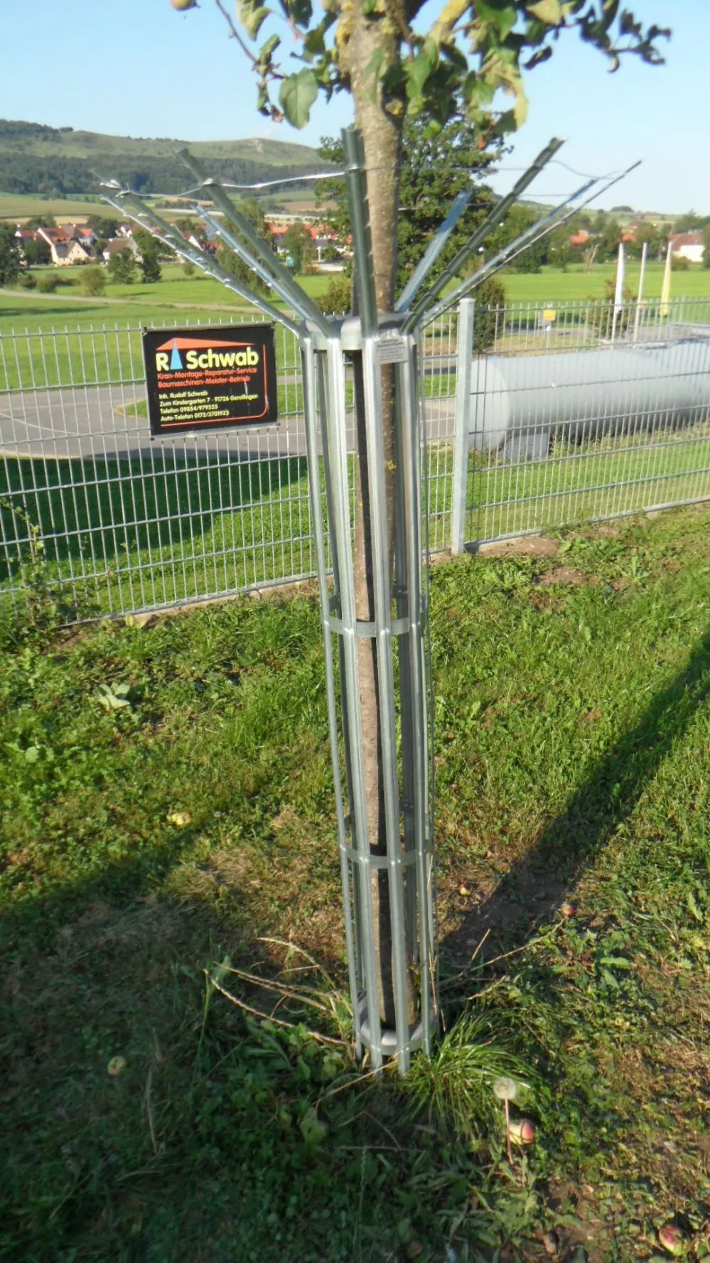 Innovativer Baumschutz